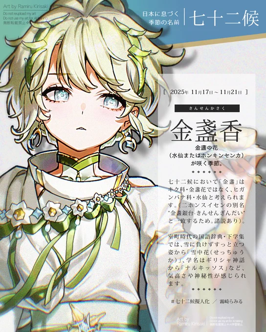 【#七十二候擬人化:金盞香】 立冬末候、「きんせんかさく」 七十二候の「金盞」はキク科・金盞花ではなくヒガンバナ科・水仙と考えられます(諸説あり)。室町の国語辞典・下学集では、雪に負けずすっと立つ姿から「雪中花」、学名はギリシャ神話から「ナルキッソス」など、気高さや神秘性が感じられます