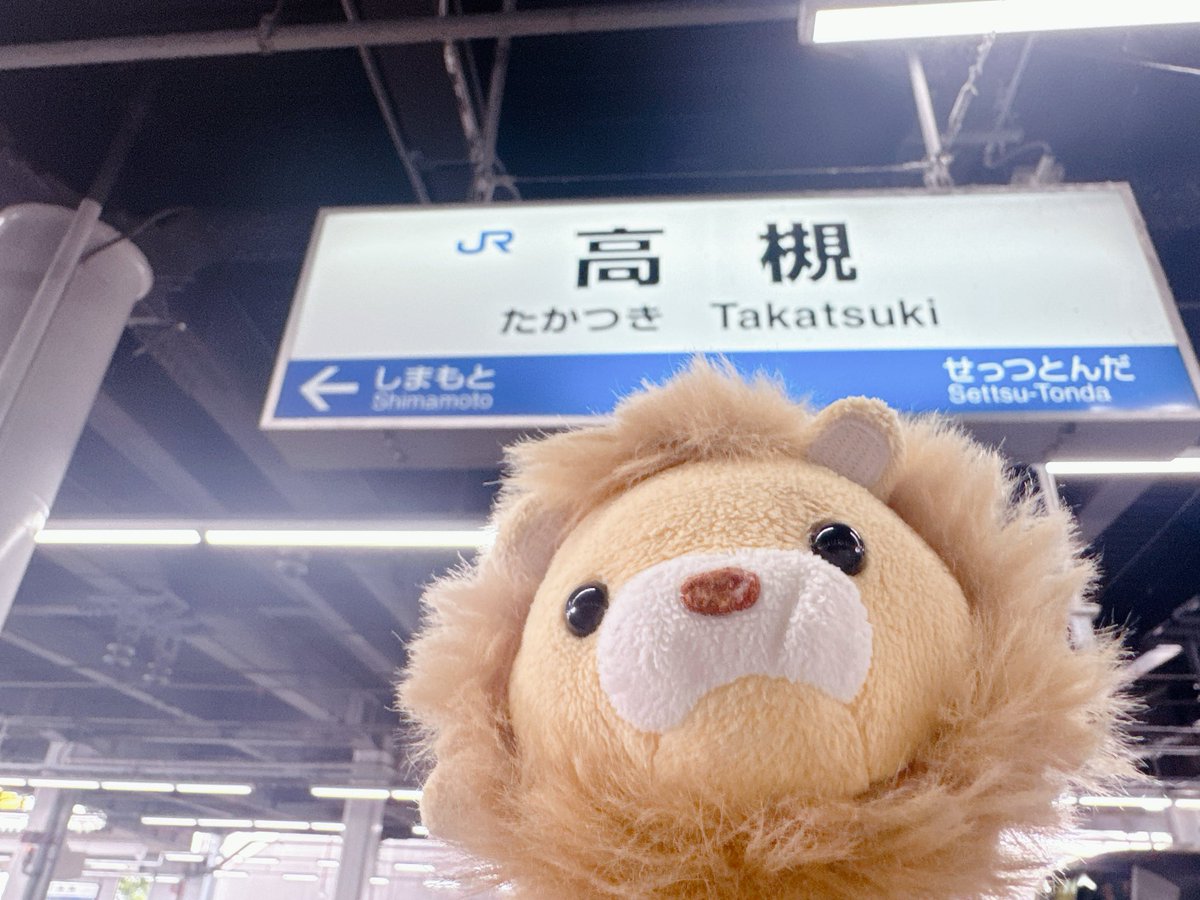 ココロ (@5656kokoro) / Posts / X