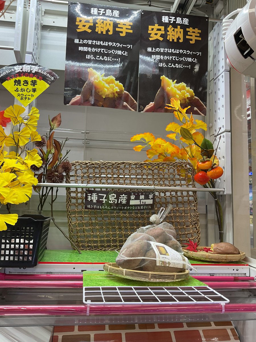 公式】楽市街道 名古屋店 on X