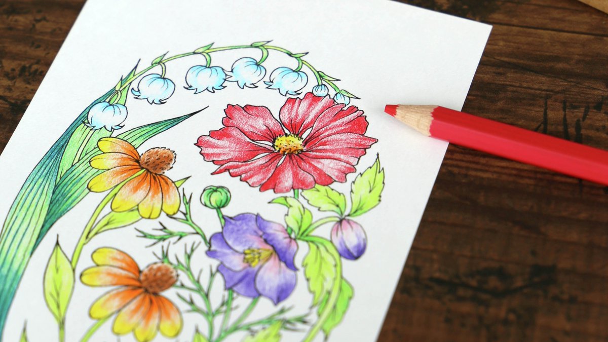 空鈴 (@xlkarano210fune) / Posts / X