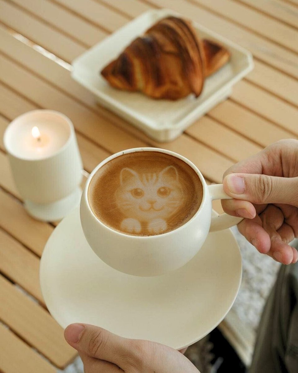 arbitrade_es's tweet image. Lunes… ese día en que todos buscamos la postura más cómoda para sobrevivir. 😅🐱

Los gatos lo hacen mejor: se acurrucan en cualquier lugar y son felices.

Nosotros no somos gatos… pero tenemos café para arrancar la semana con buen humor. ☕️

#LunesConHumor #Arbitrade