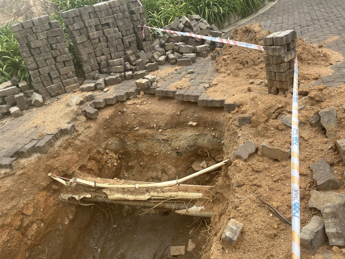 Hilary Wynne tweet media