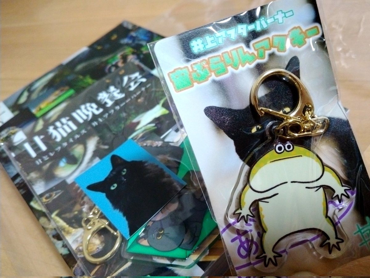 nmo25023's tweet image. 昨日、行ってきました!
お出迎えからもう可愛いかったです😊
甘レプさんのクッキーとたくさんグッズ購入できたしアフバナさん動画の私の最推し【ばじぇお🐸】もいたので捕獲🤏❤
イベントに参加したことで少しでもねこちゃん達へ貢献ができていたらうれしい🐱✨
#甘猫晩餐会 
#CWC