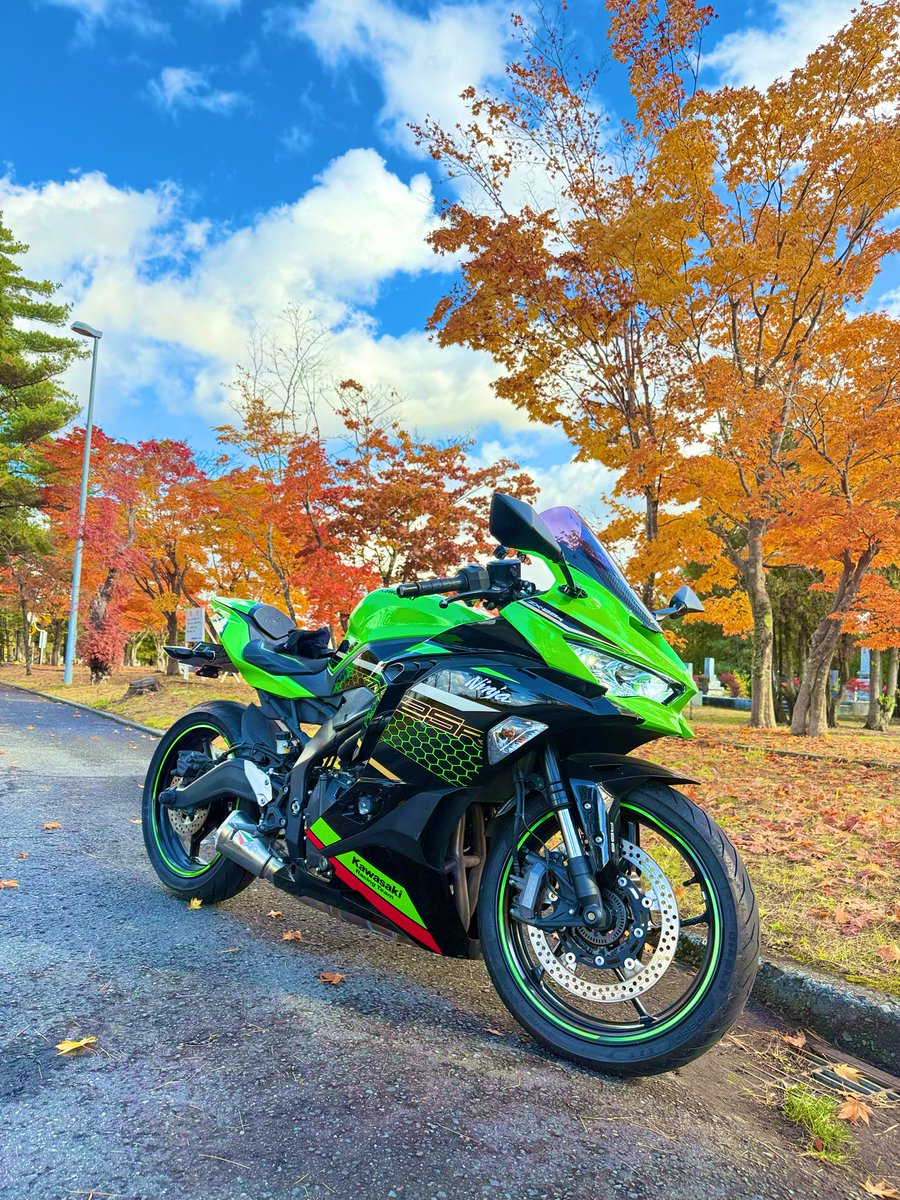 プリンページです❣️ 軽井 (@kachix2Purin) / Posts / X