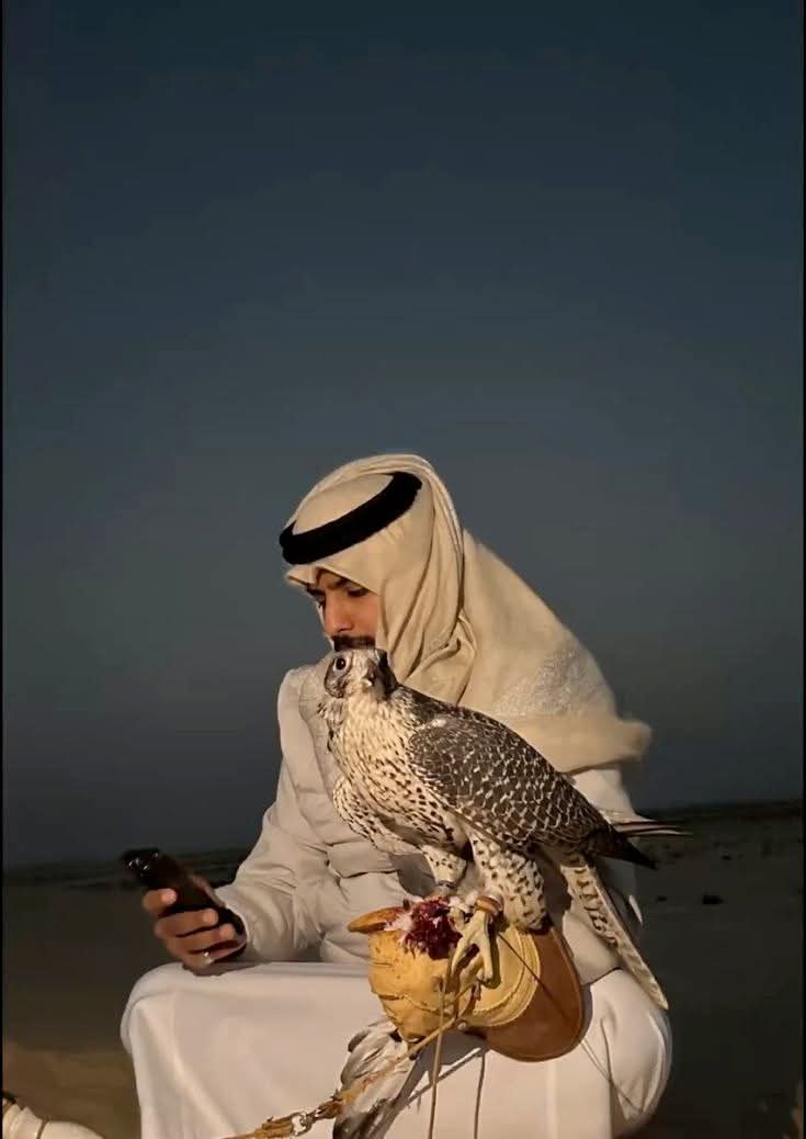 همس الهجير…✍️🐦 
.
.
خلك  نقي النفس  لو صار ما صار
ترى الجروح احيان مثل المعاريف
.
تشطب على  الاقزام  وتقرّب اكبار
مايستوي  للحر   غير    المشاريف
.
والصمت مثل طويق شامخ وجبار
ماينهدم   لو  هاااجموه   الملاقيف