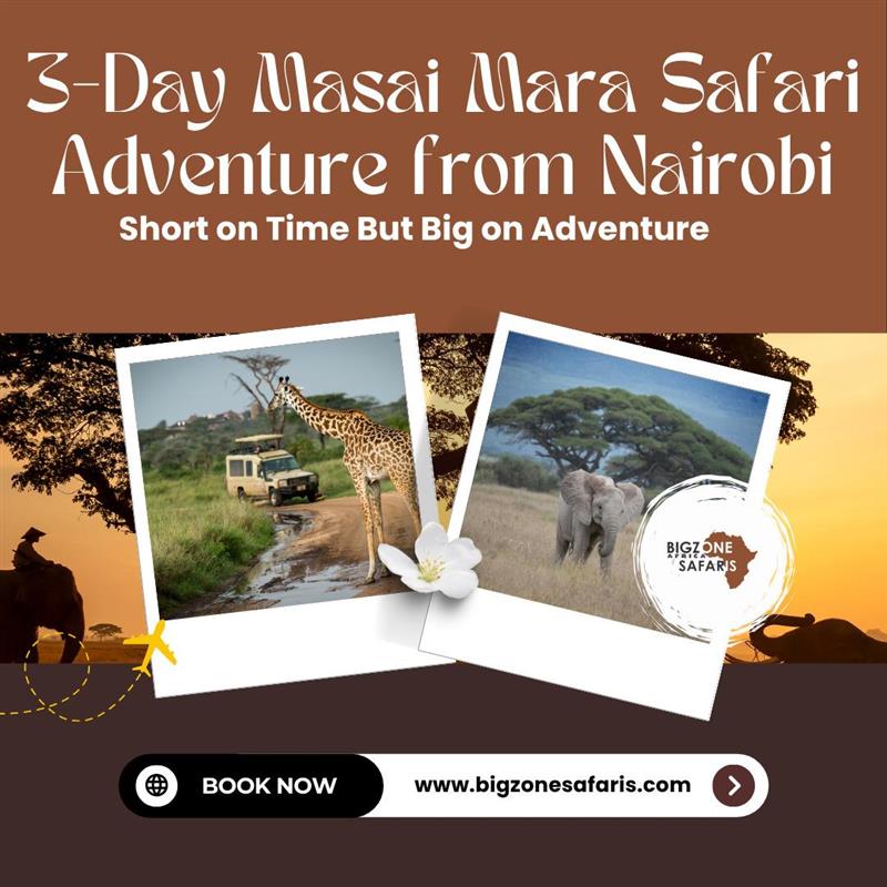 SafarisBigzone's tweet photo. 3-Day Masai Mara Safari Adventure from Nairobi

Reach out Us https://t.co/seWgktWxTC

#MasaiMaraSafari #ExploreNairobi #BigZoneSafaris #KenyaWildlife #ShortSafari #AdventureInAfrica https://t.co/BJQHdj0Izh