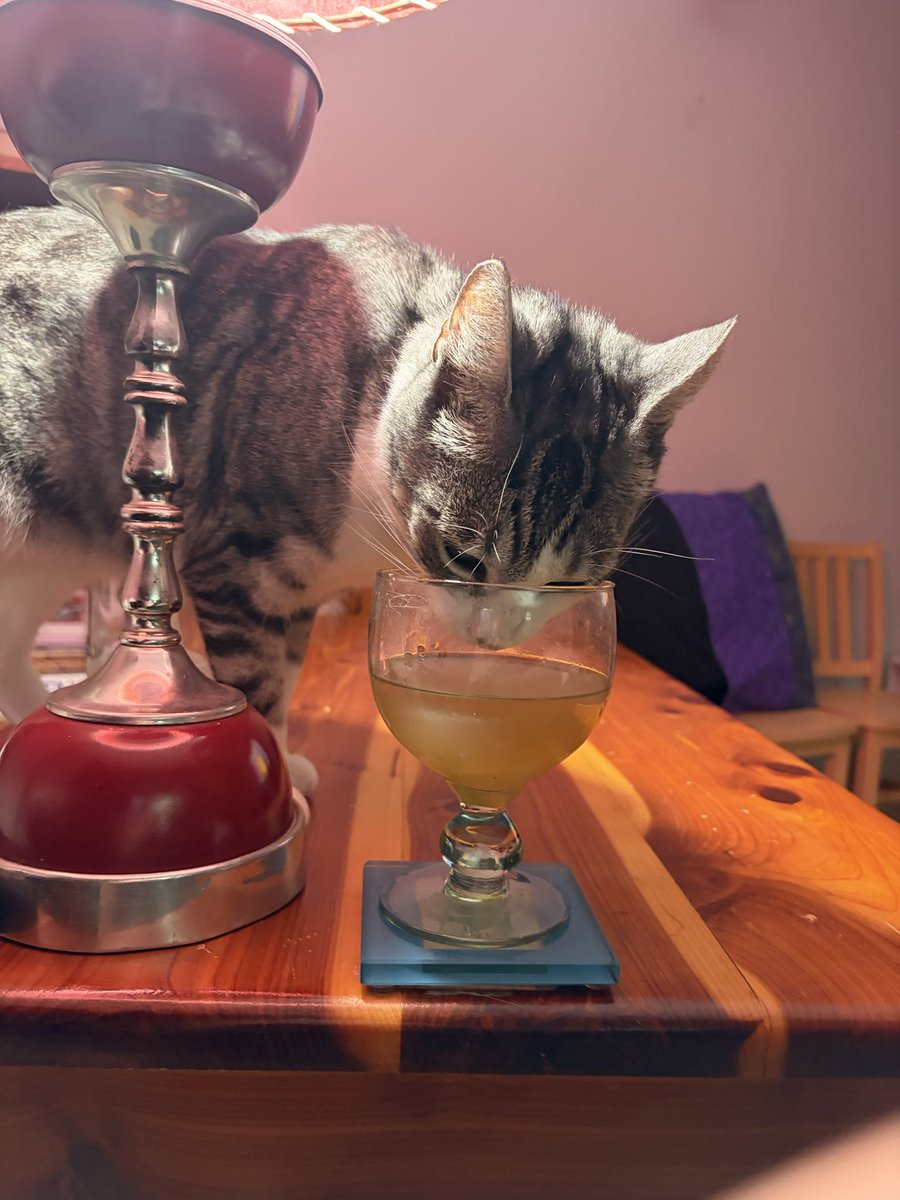 Avery Cochrane tweet media