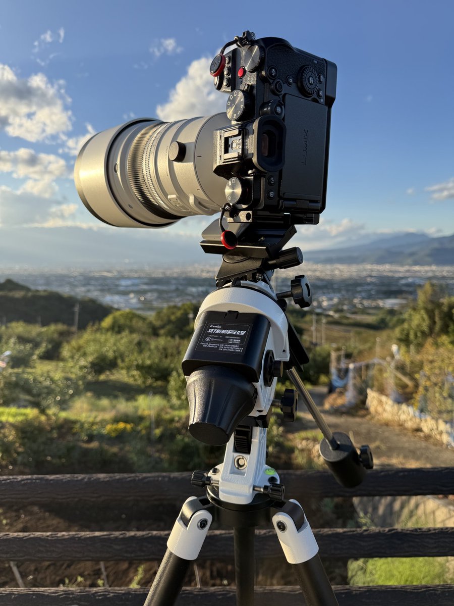 ぞろめページ シロカメ on X