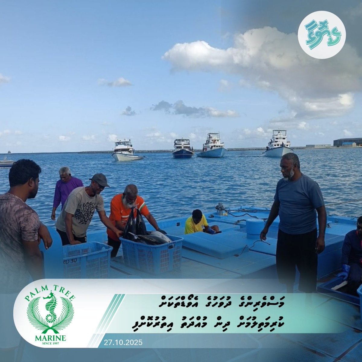 މަސްވެރިންގެ ދުވަހުގެ އެވޯޑްތަކަށް ކުރިމަތިލުމަށް ދިން މުއްދަތު އިތުރުކޮށްފި
keyolha.com/news/7985/