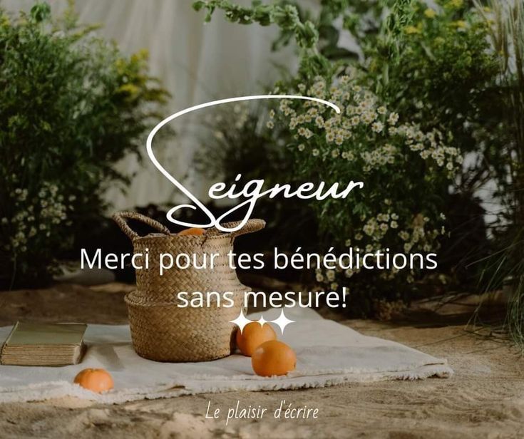 NapoFoussena's tweet photo. Nouvelle semaine. Que Dieu veille https://t.co/xRqa51xcAd