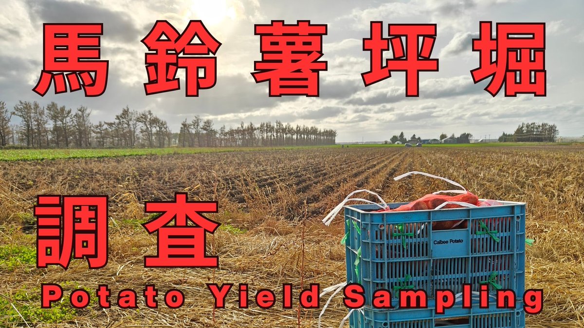 TokaTechCh's tweet photo. YouTube🆙

北海道斜里町で馬鈴薯の収穫🥔
その後、じゃがいもの美味しさ指標にもなる「ライマン価」について調査してきました。

是非ご覧ください！

🎬 https://t.co/3AehONFI9O

#馬鈴薯 #斜里町 #スマート農業
#企業公式秋のフォロー祭り
#企業公式相互フォロー https://t.co/ksAND3Nkte
