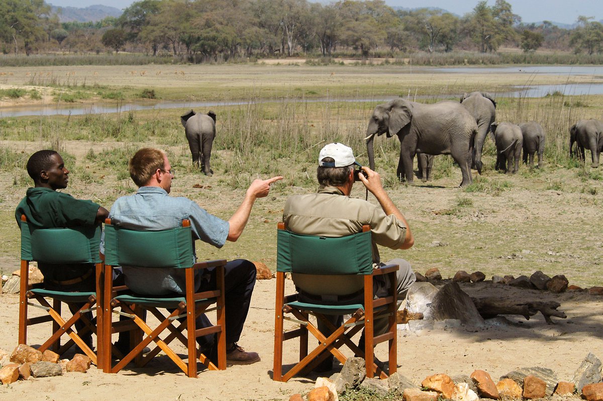 SafarisBigzone's tweet photo. 🌟 Your Safari Isn’t Just a Trip—It’s a Legacy.

🌐Visit our Website https://t.co/PFhf2tukaO

#TravelWithPurpose #BigzoneSafaris #SustainableTravelAfrica #KenyaTanzaniaImpact #SafariWithHeart #ResponsibleTourism https://t.co/VuB2vBsXZJ