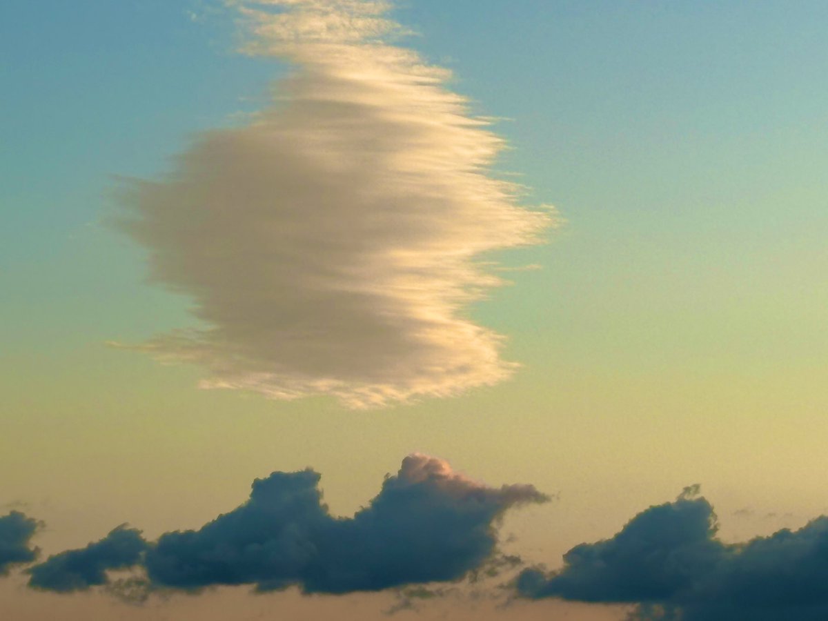 今日なんだか不思議な雲に出会いました..
早朝の空に１つだけポツンと異種のようで、ただただ強烈な存在感を放っていた...
日常も捨てたもんじゃ無い。。