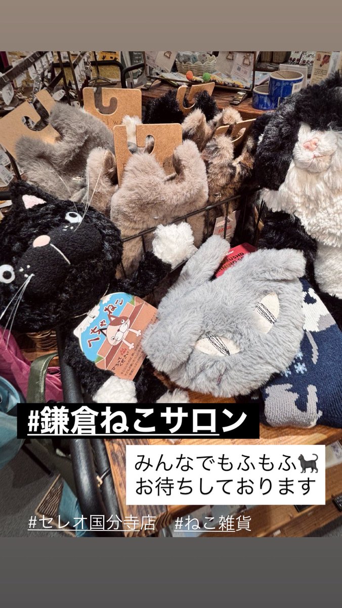 ネコロン new-balance-las35634-1-