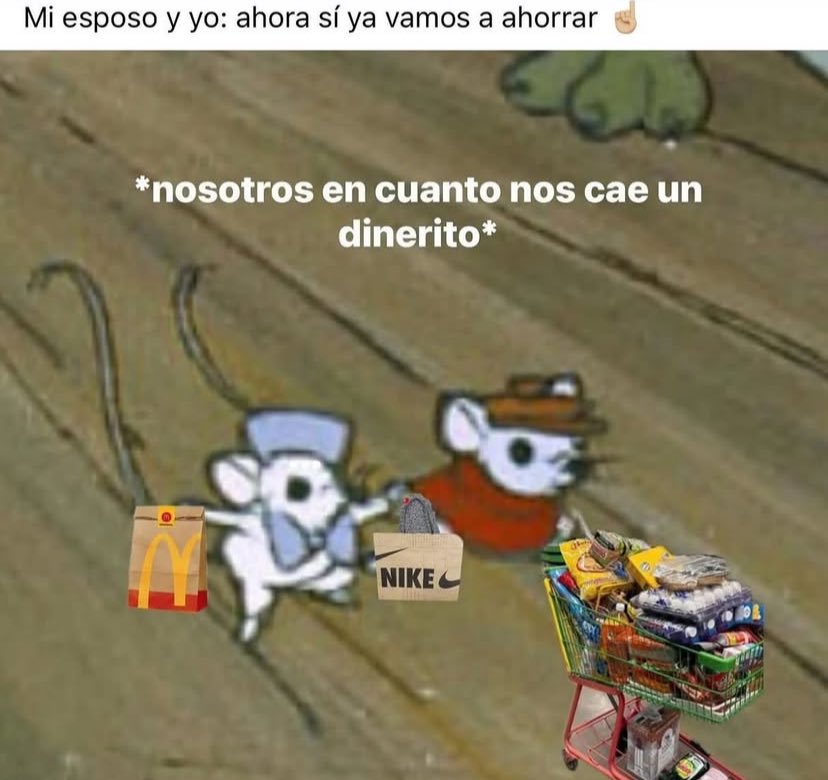 nacional_memes's tweet photo. 🐱 https://t.co/ZKCvRzXFPb