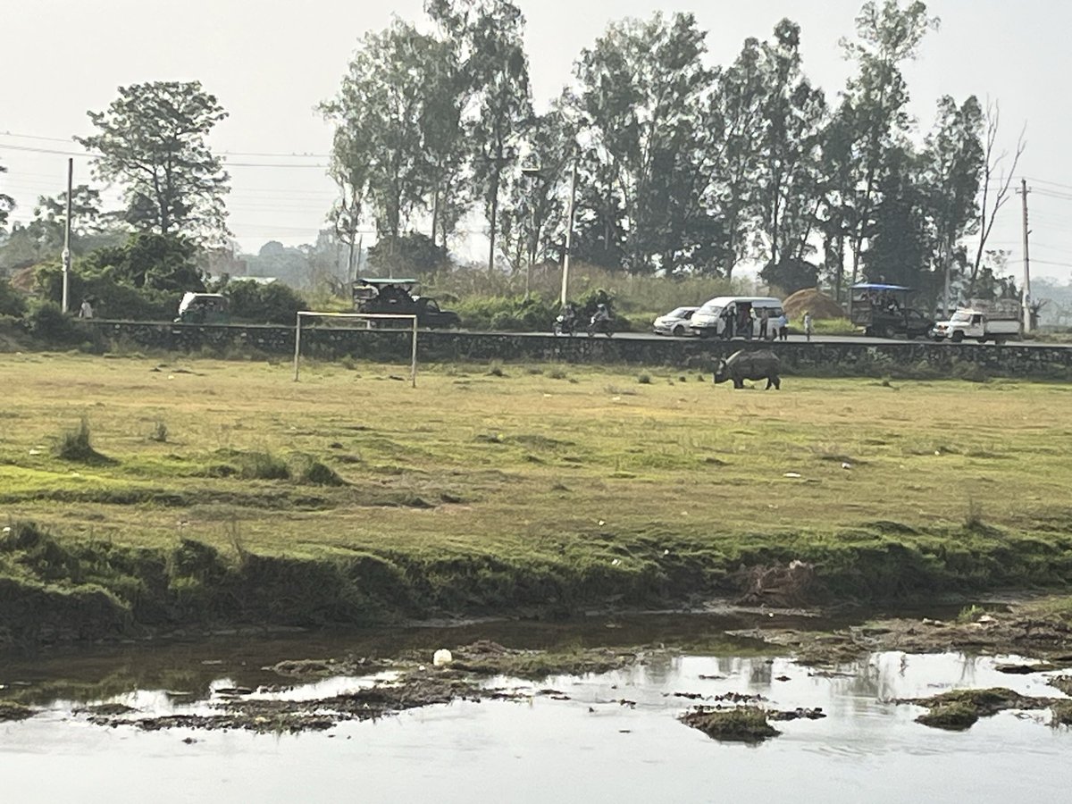 Bish_Pi's tweet image. जंगल ड्राइभ गयर होटल फर्केका गाडीहरु बाटोमा गैँडा देखेपछी खुसी हुँदै! #घरमुनी खोला, खोला पारी गैंडा। 😁😁

Good Morning from #Sauraha