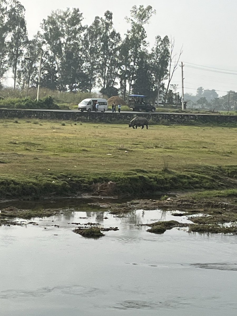 Bish_Pi's tweet image. जंगल ड्राइभ गयर होटल फर्केका गाडीहरु बाटोमा गैँडा देखेपछी खुसी हुँदै! #घरमुनी खोला, खोला पारी गैंडा। 😁😁

Good Morning from #Sauraha