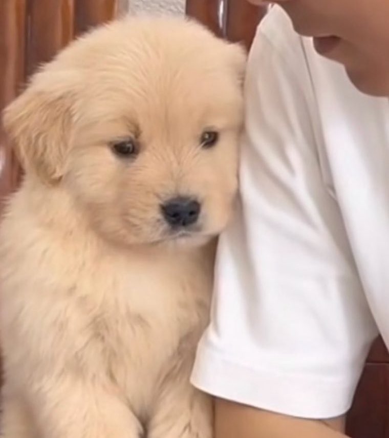 withhercrush's tweet photo. ม๋าจ๋อง https://t.co/fG1koQTnpg