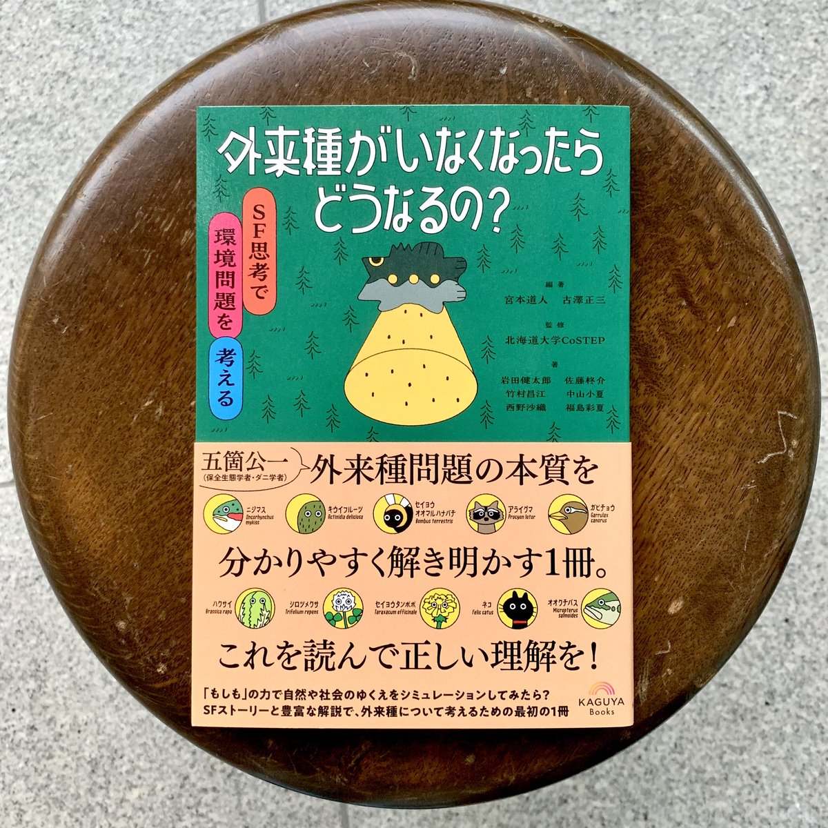 おさかなさんページ Gakken【おさかなちゃんシリーズ】公式サイト
