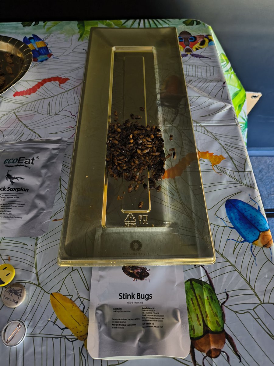 Whitehaven Elementary STEM School tweet media