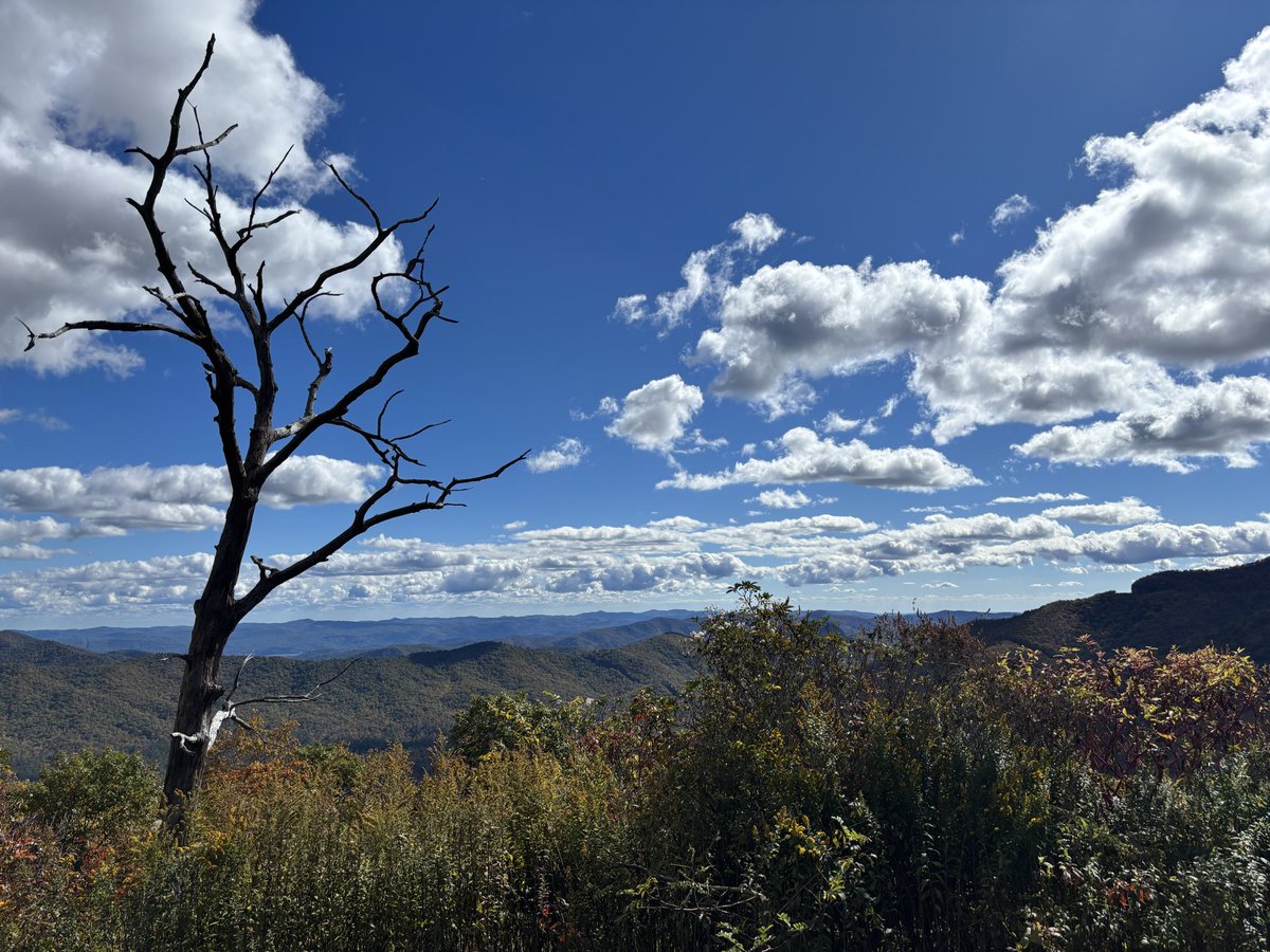 AngieMere1's tweet photo. @DMiller52325459 Blue Ridge Parkway… https://t.co/FGqFO622xU