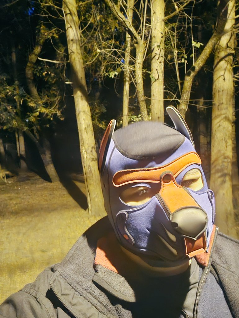 PChris_TO tweet media