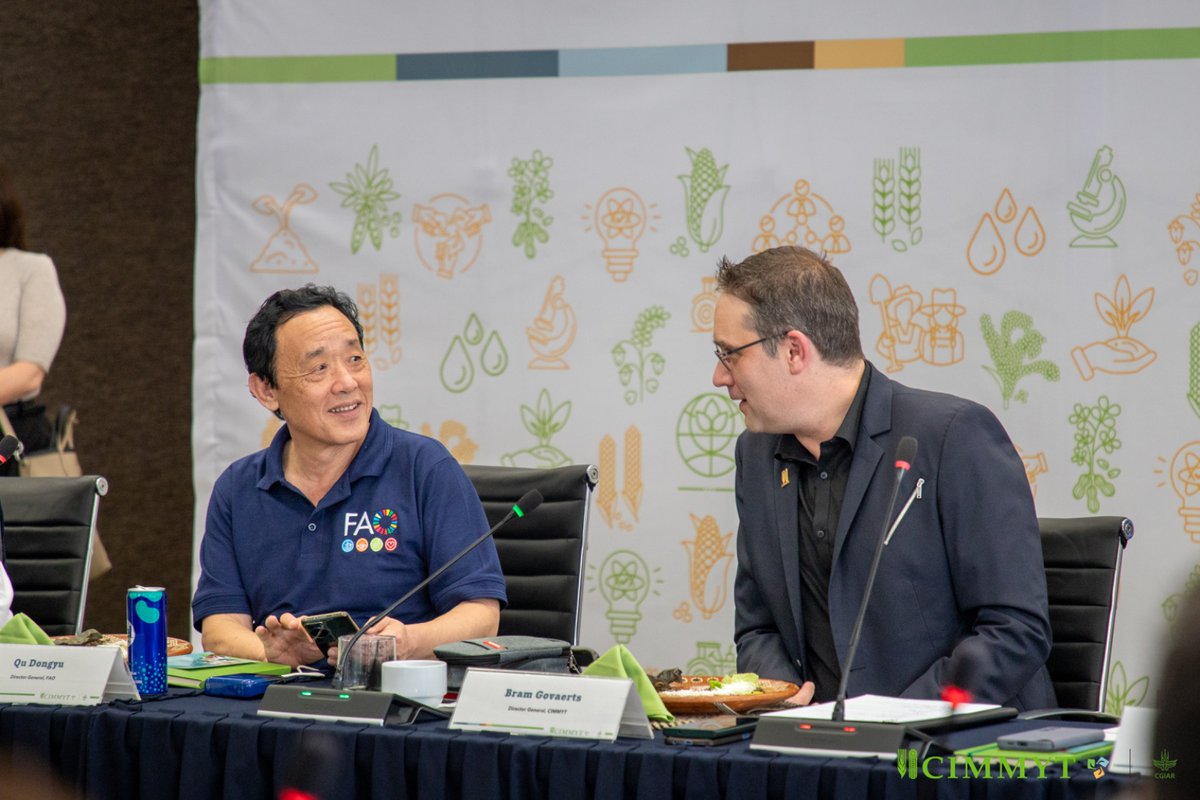 bramaccimmyt's tweet photo. Inspired after exchanging insights with Qu Dongyu @FAODG, Secretary @JulioBerdegue, &amp; team!
We discussed @CIMMYT’s mission contributions, crop innovation, climate resilience, &amp; sustainable intensification—highlighting experience with #InnovationHubs in #Mexico &amp; the #GlobalSouth. https://t.co/tz2Dx5cV5j
