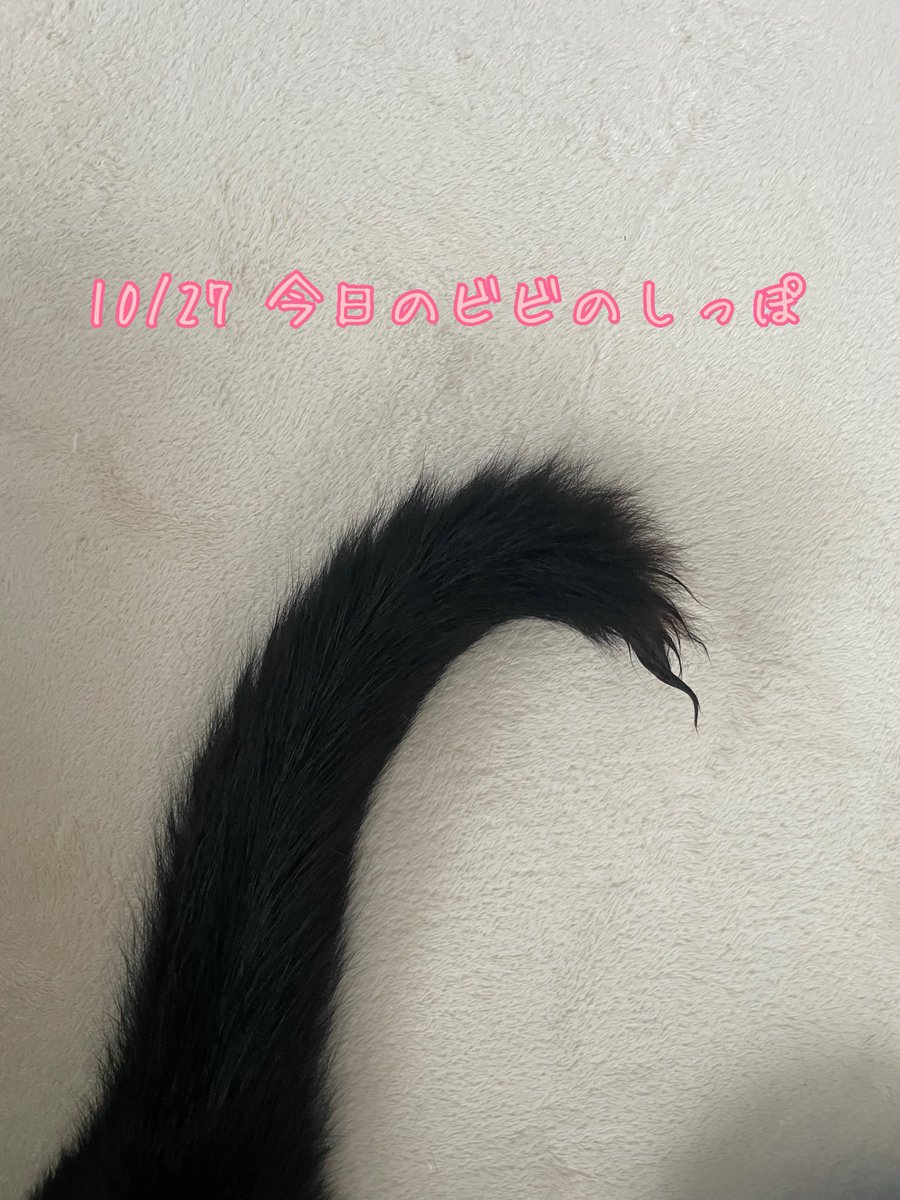 kitty様⑨⓪ ハローキティクロミ LF深札入れ ヒョウ柄スリーレザー財布