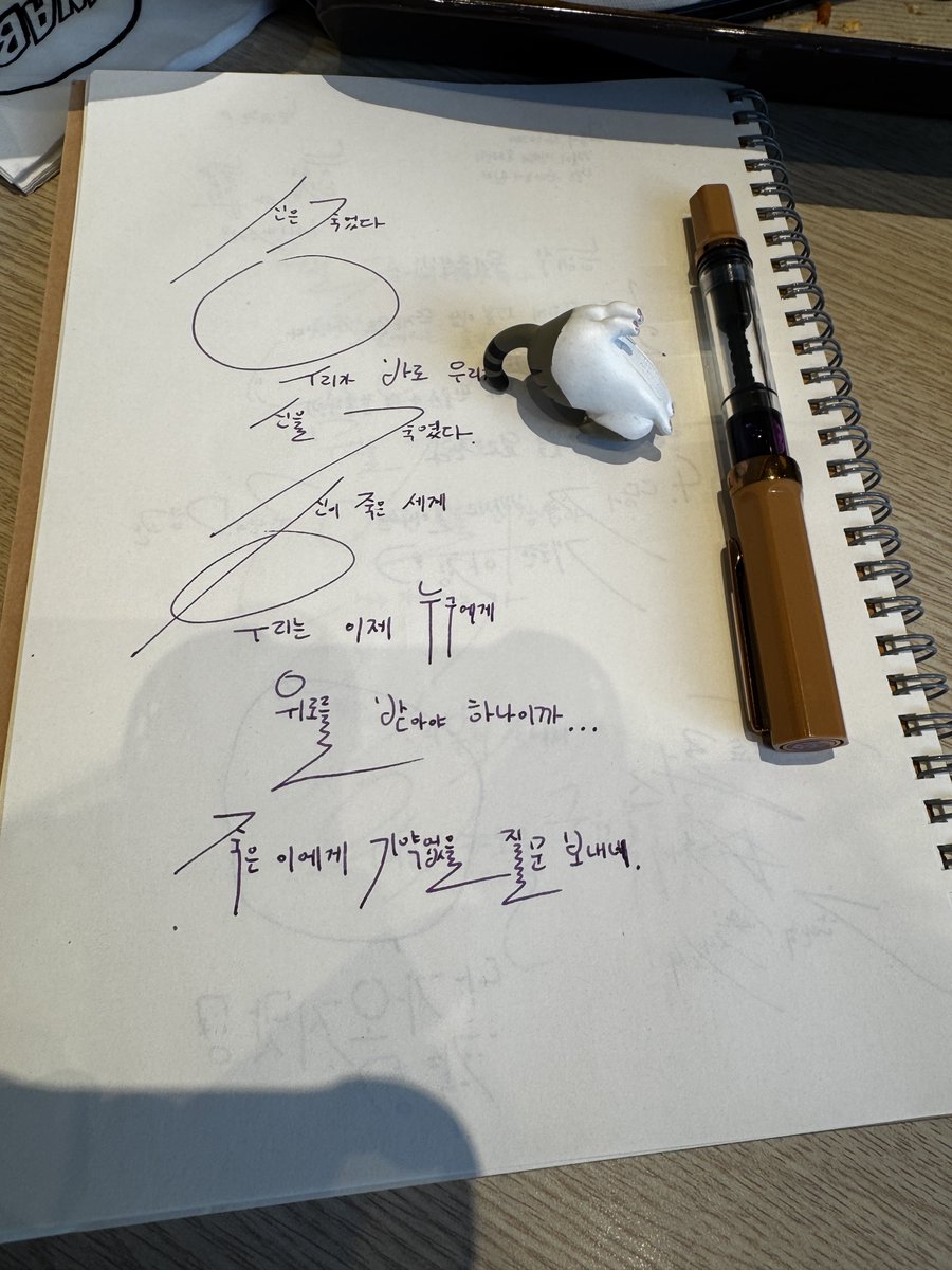 고양이 요양중이다냥