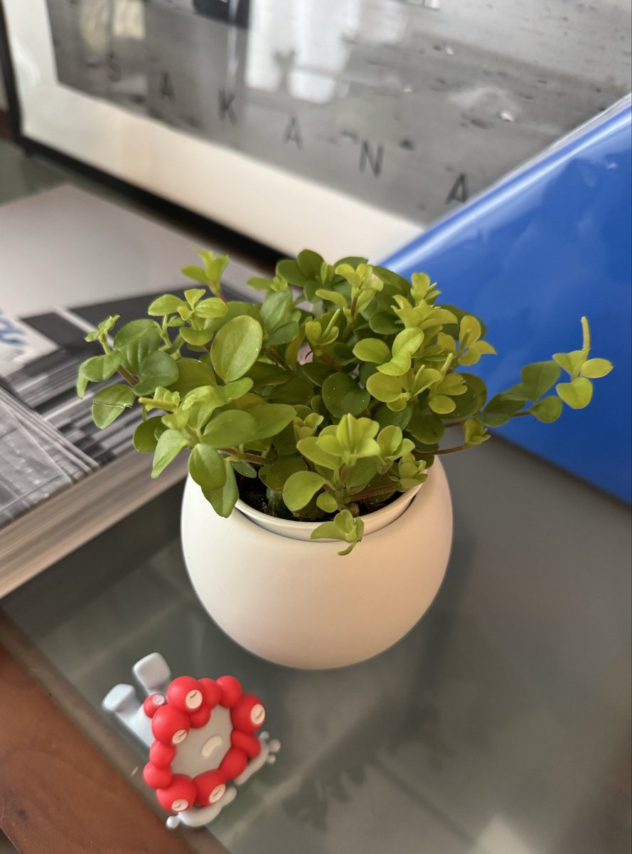 みぃ様 みなみ on X