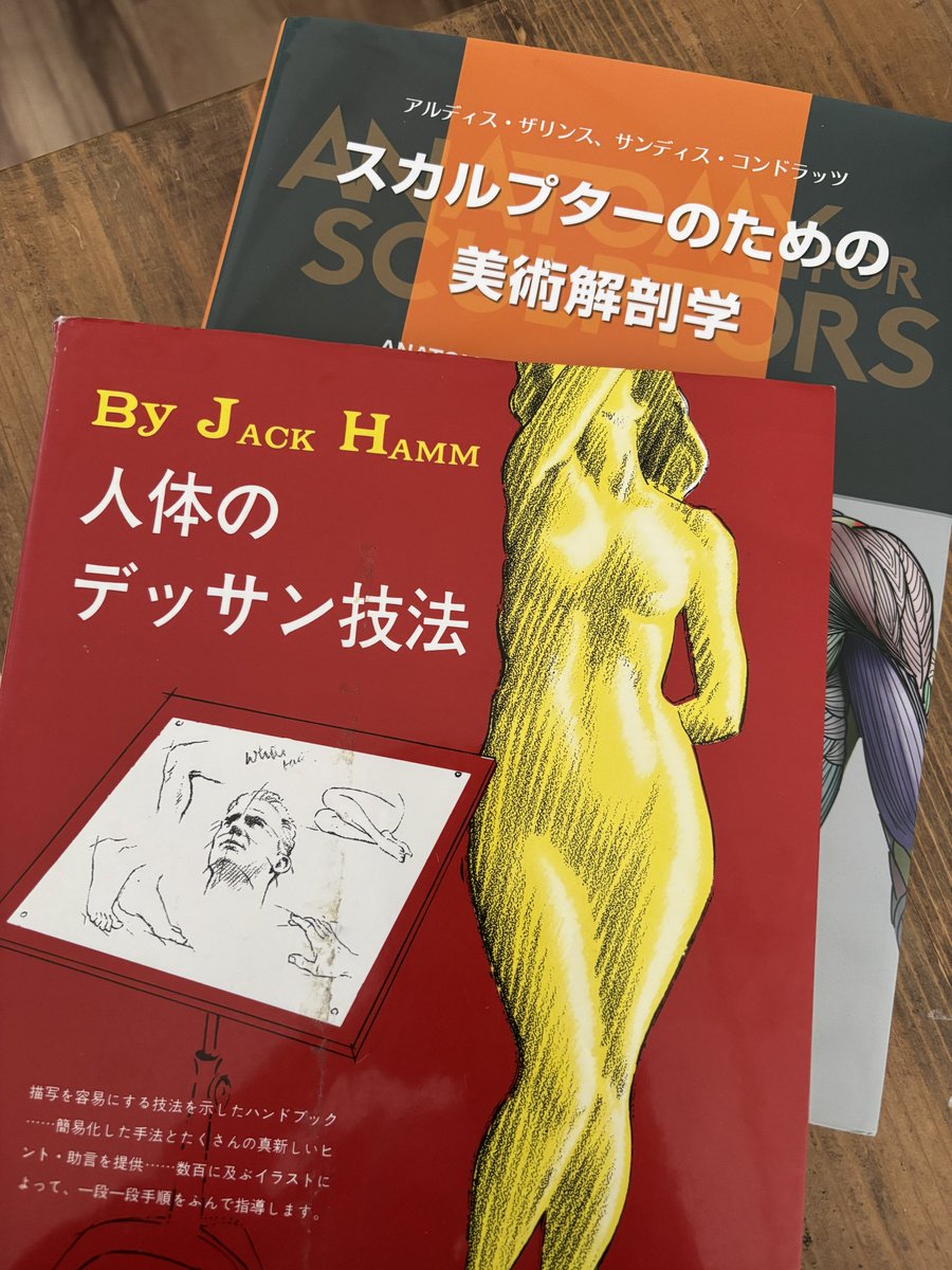 絵うまの神の白浜先生「絵の基礎教本を模写するといいよ」
私「えっ眺めてるだけじゃだめなんだ」
ていう私だけアホの会話を経て、教本の全ての挿絵を模写するというのを最近はじめました。
教本は「人体のデッサン技法」。参考書に「スカルプターのための美術解剖学」