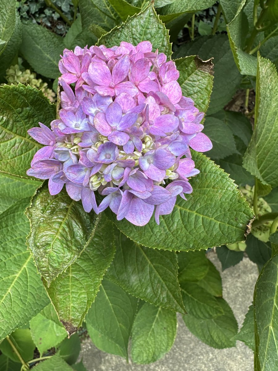 Good Night Friends Worldwide