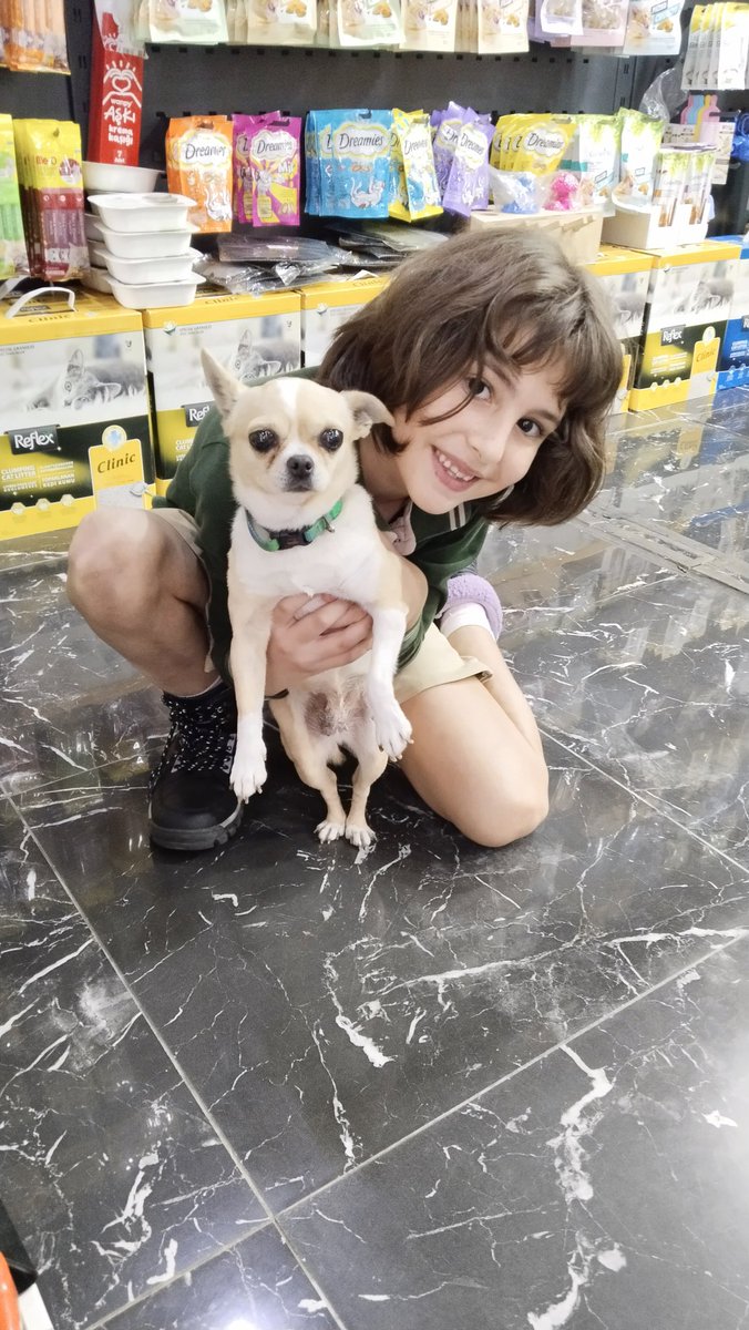 Sukriye Ciftci (@ciftcisukriye) on Twitter photo 