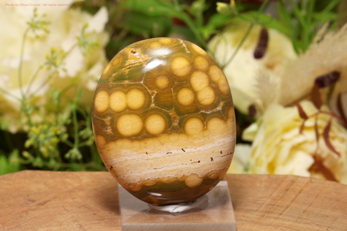 ドゥニクリスタル on X