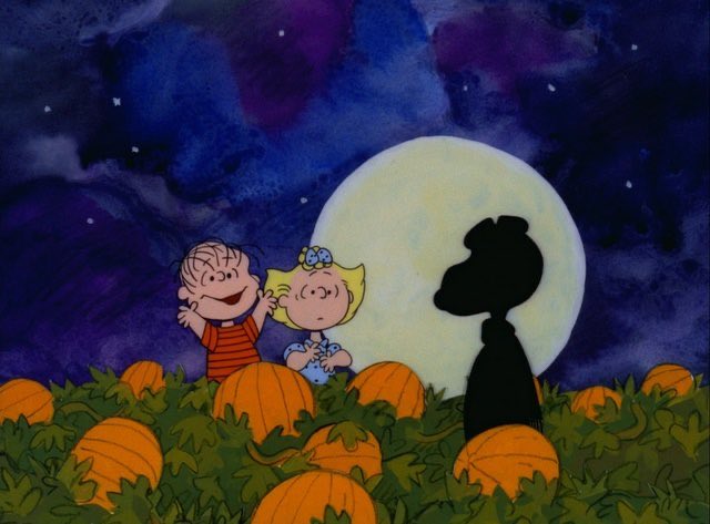 ToonHive's tweet image. 59 years ago today, ‘It’s the Great Pumpkin, Charlie Brown’ premiered on TV.