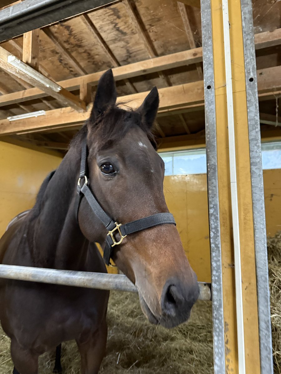 田中スタッド (@9IJ3L9he5l0eZad) / Posts / X