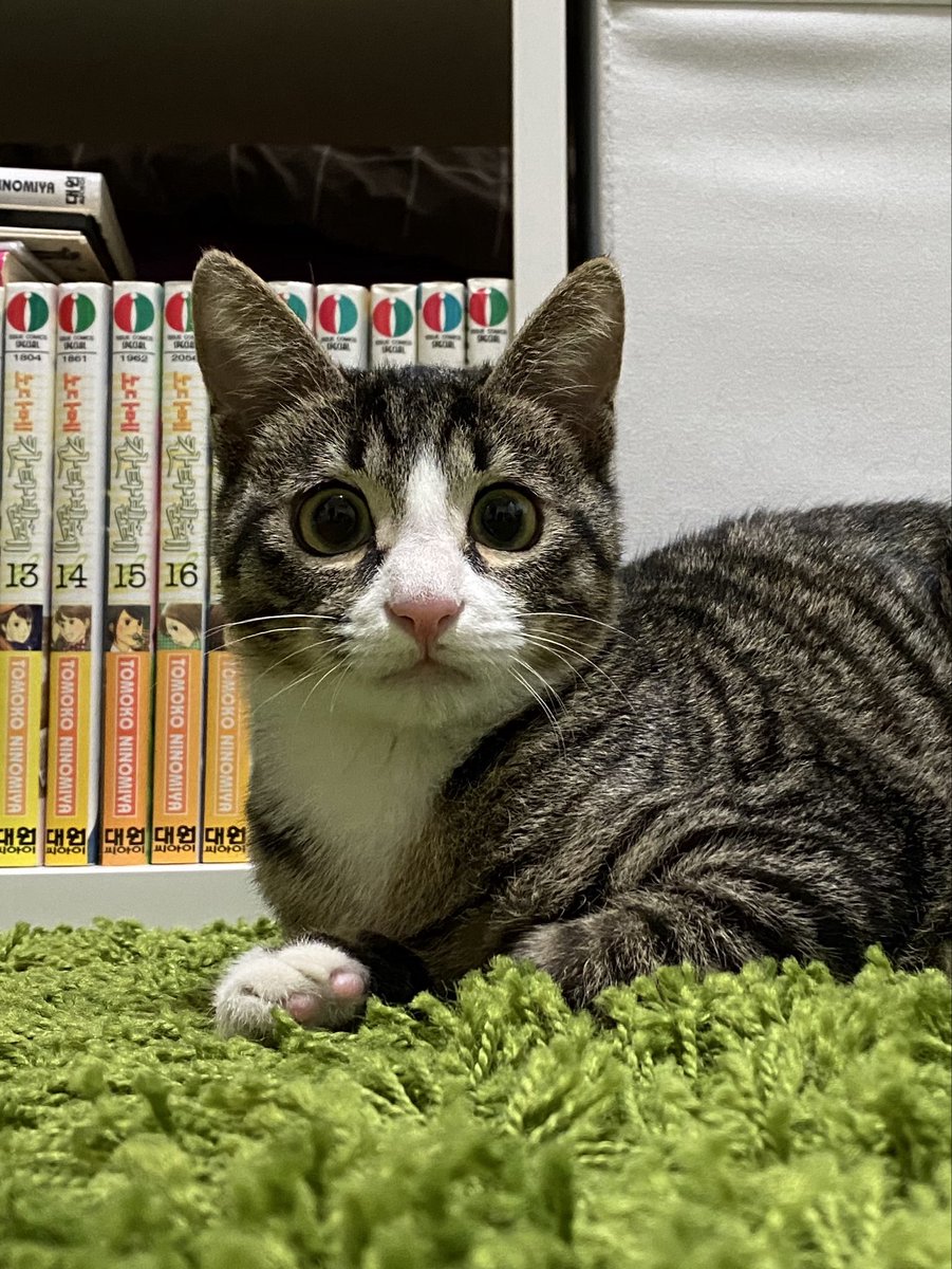 with_mgrk's tweet image. 