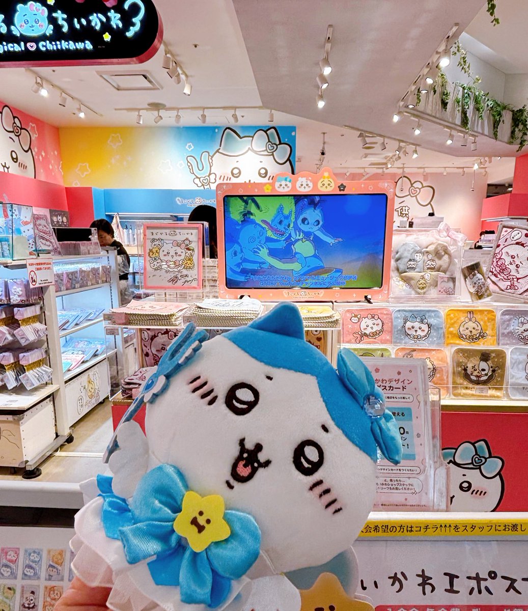 キティ様用•*¨*•.¸♬︎ Amazon.co.jp: セイワ(SEIWA) 車用 ステッカー ハローキティ