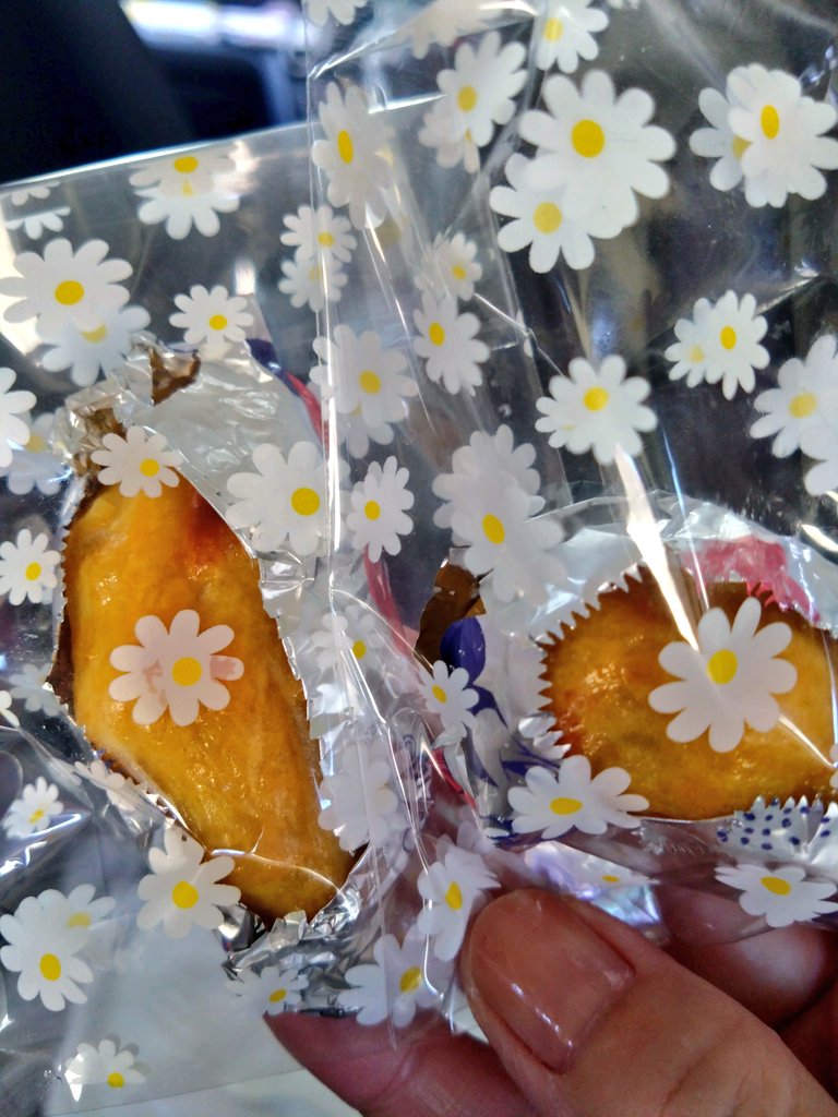 moca♡様♡ありがとうございます♡ ☆_‐_ー ⁡ 𝗦𝗧𝗔𝗥𝗥𝗭 𝗧𝗢𝗞𝗬𝗢 𝟮𝟬𝟮𝟱 ありがとうご