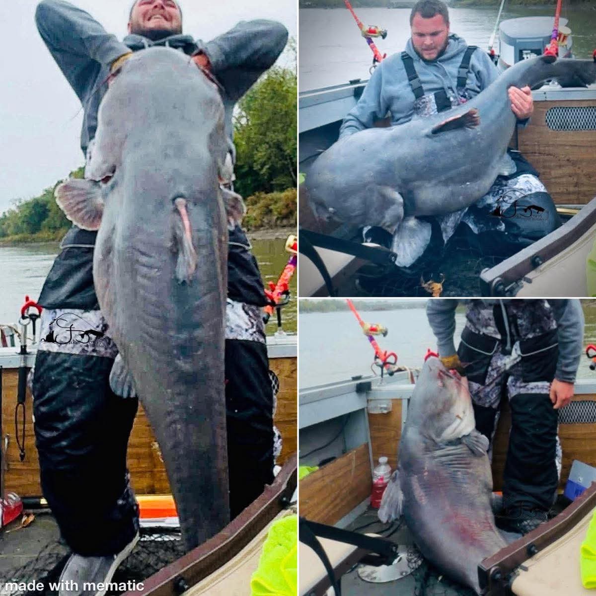 CowboyEmperor's tweet photo. Epic Catfish Jesse, holy shidd Thikk Hosssssss
Over 140lb 100% https://t.co/FhwfjWRWpR