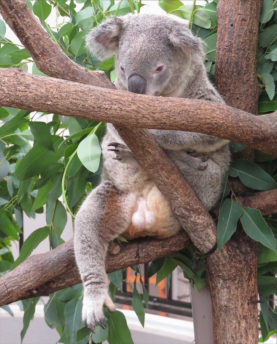 みるきー (@milkyma2) / Posts / X