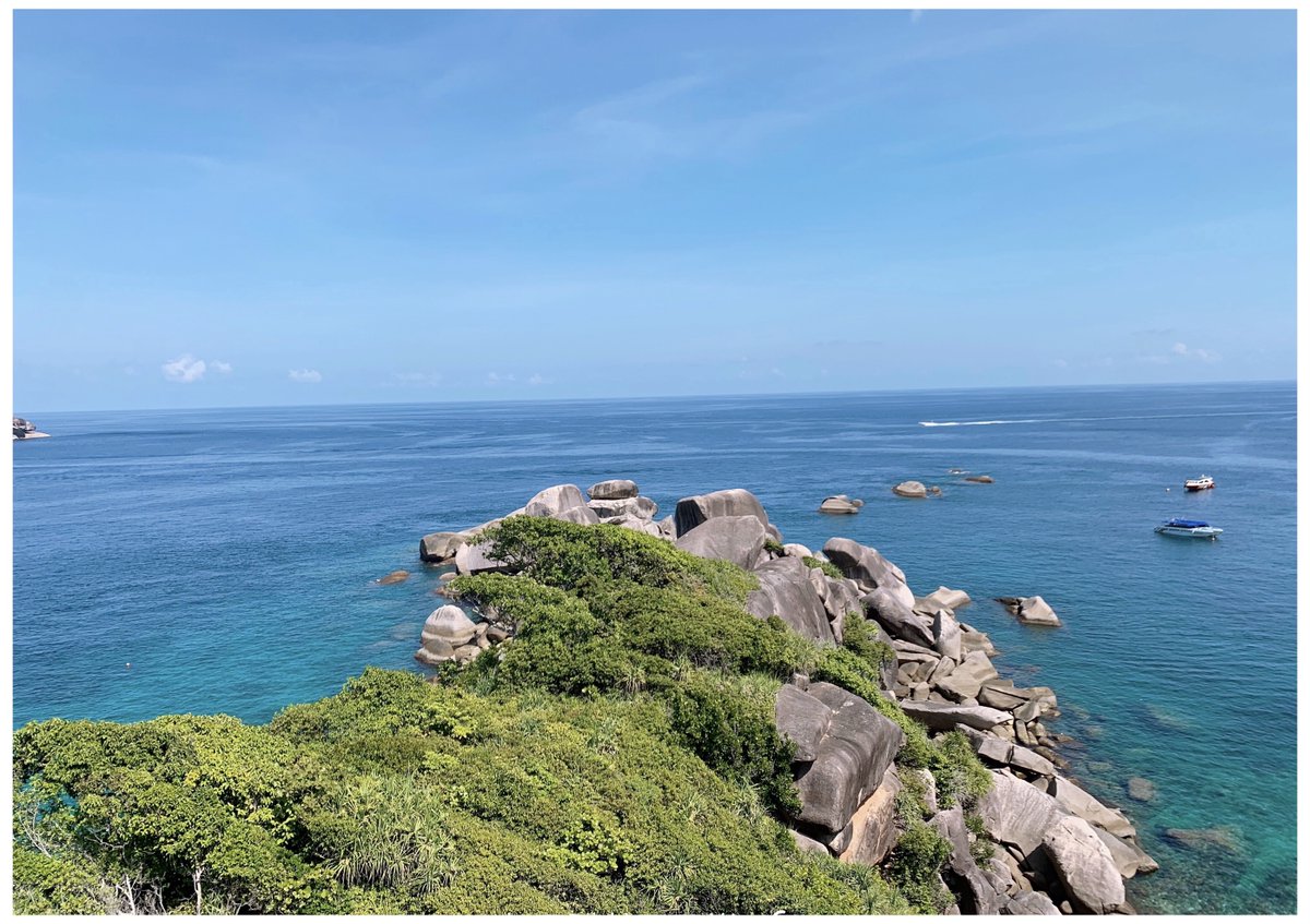 smiledestiny's tweet image. 