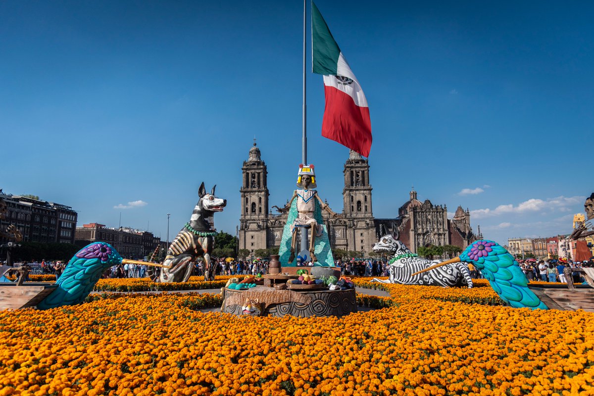 elarturoso's tweet image. el zócalo hoy