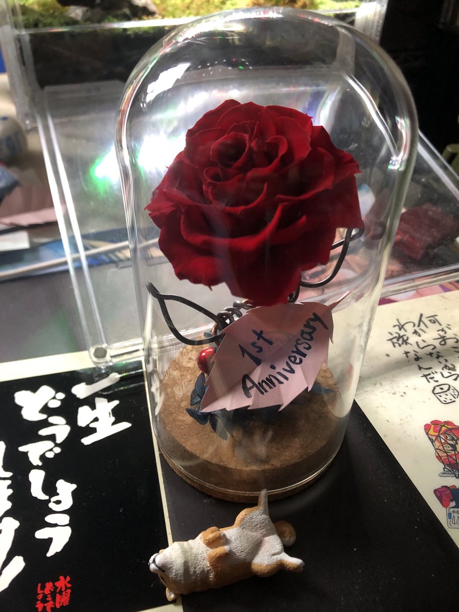 ジェロニモさん専用　21個 ジェロニモ (@Syn0315) / Posts / X