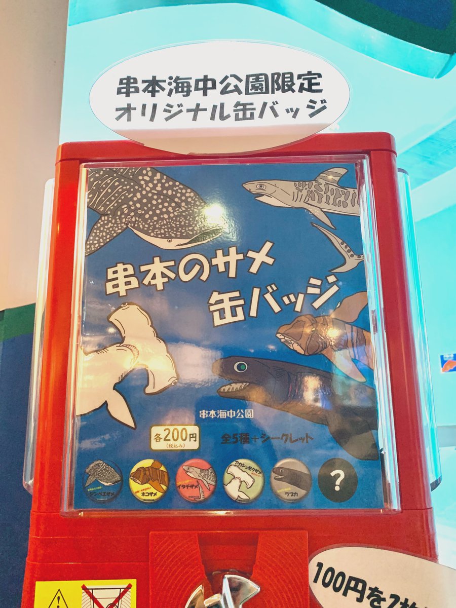もう回した？！ 特別展限定！串本のサメ缶バッチが登場✨ 特別展の