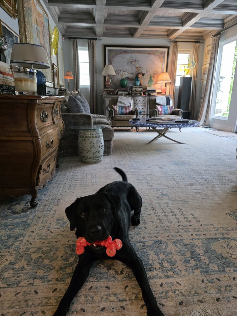 Hollywood Deplorable tweet media