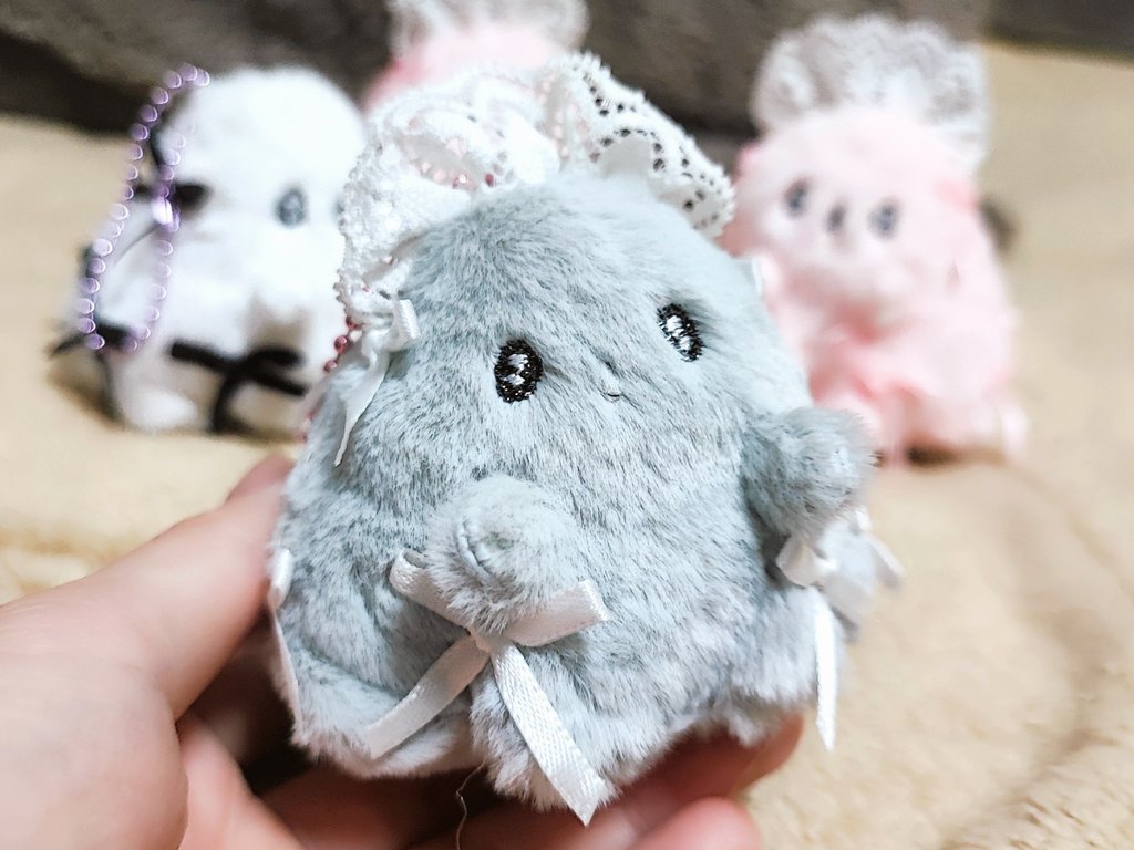 天音 玲🪷れんこんﾁｬﾝ on X