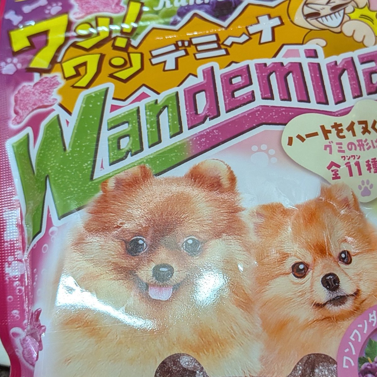 本日お値下げ❗️♥美品！アイリッシュドレスデン♪干支♪犬 　Puppy love ちぇーたん🐉☀ 秋葉原美容師 🌊 on X