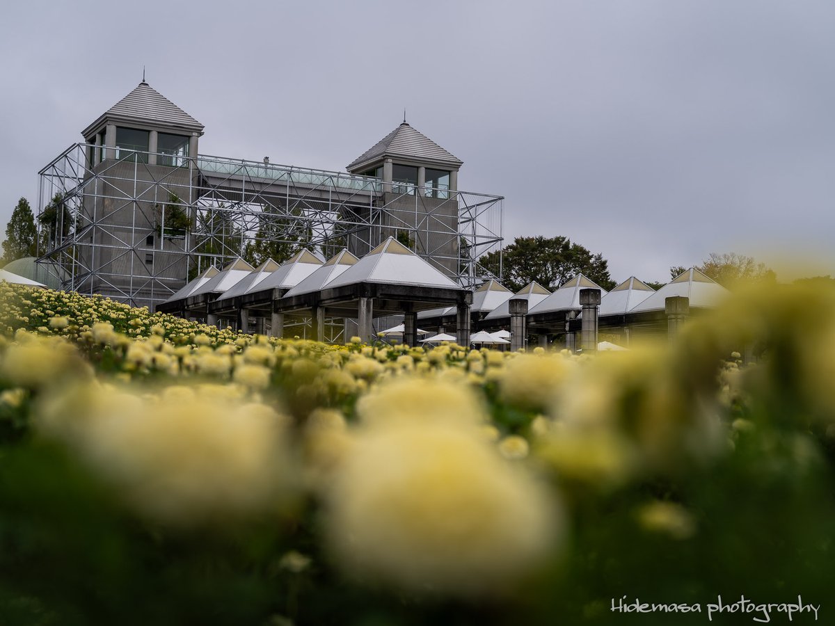 Hi_DesignFocus's tweet image. Gunma Flower Park +
ぐんまフラワーパークプラス

[2025.10.12]

#GunmaFlowerPark
#ぐんまフラワーパークプラス