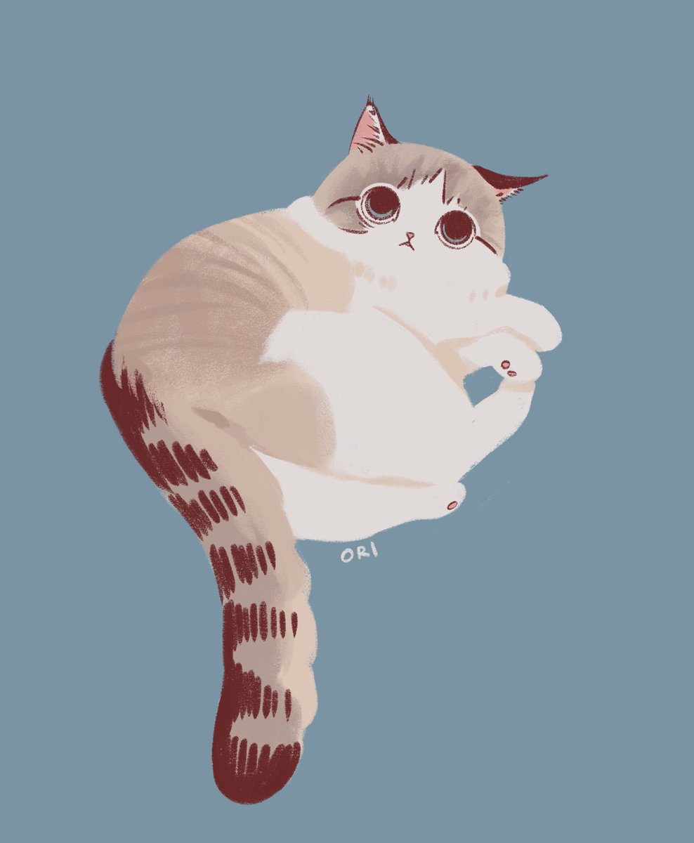 ox.miruku (@ox_miruku) on Twitter photo 